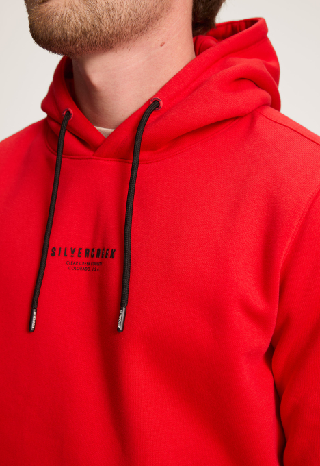 Logo hoodie