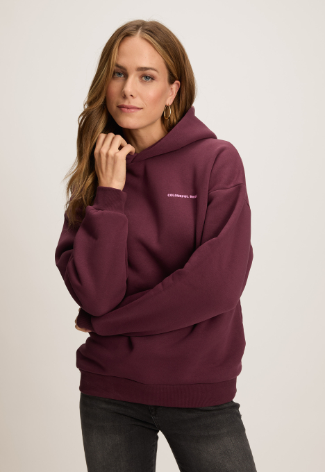 Bold Athletic Hoodie