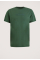 Cotton Elastane Jersey T-shirt