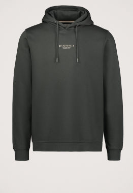 Logo hoodie