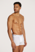 Trunk Boxershorts 3-pack