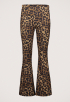 Leopard Peached Extra Flare Broek