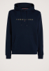 Reg Linear Gold Hoodie