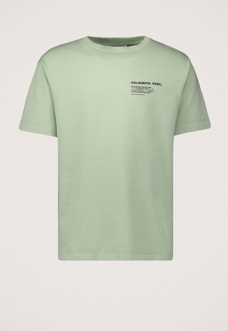 Plunderen beoefenaar bloem Colourful Rebel Branding T-shirt Green Mint | Open32.nl
